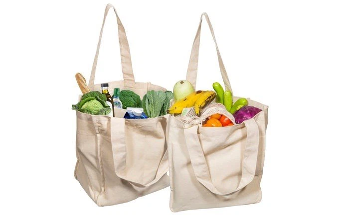 2OrganicCottonCanvasToteBags_700x