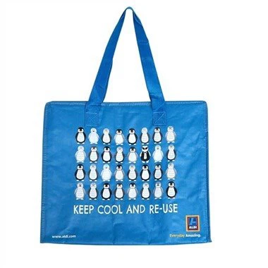 PP Woven Logo Printed Cooler Bags